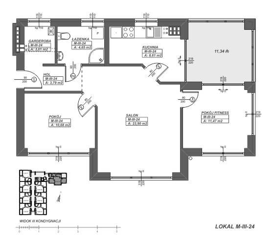 rzut apartamentu M-III-24